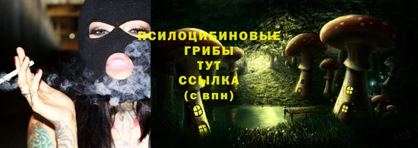 сатива Волосово