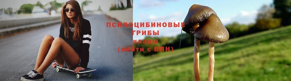 сатива Волосово