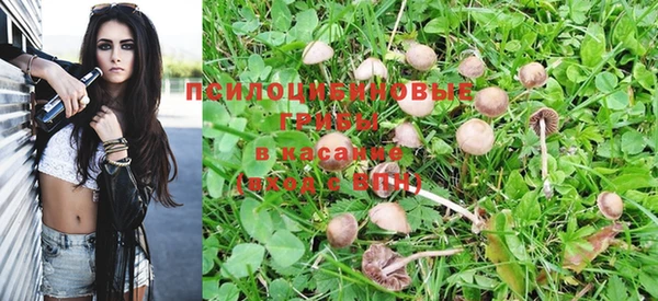 сатива Волосово